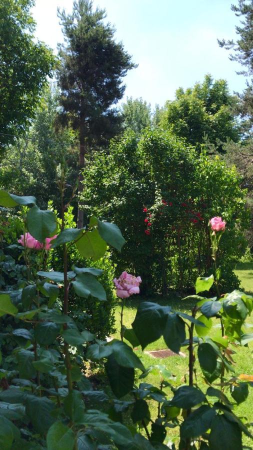 Valleverde Caraglio Екстериор снимка